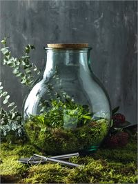 TERRARIO IN VETRO RICICLATO CON SET GIARDINAGGIO